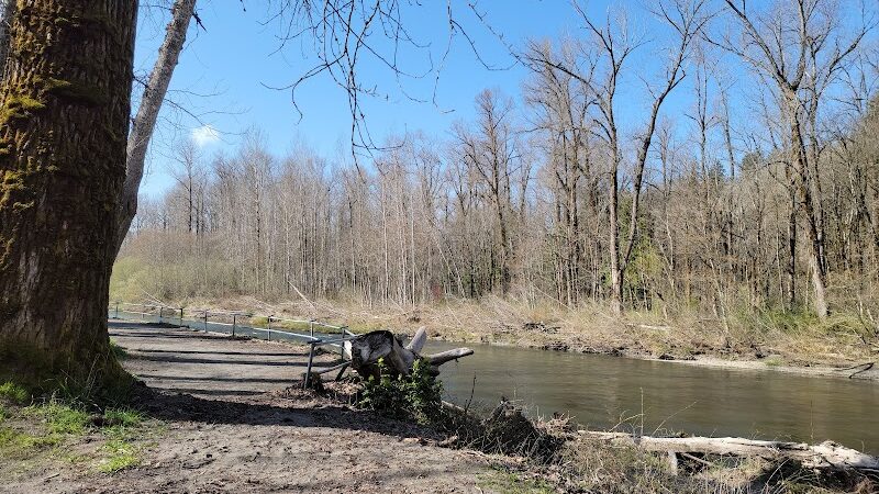 Nisqually River Public Access - Olympia, WA