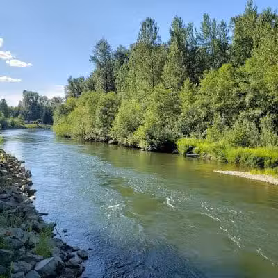 Nisqually River Public Access - Olympia, WA