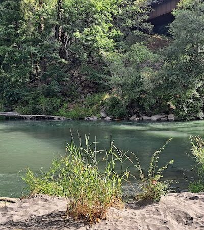 Nisqually River Public Access - Olympia, WA