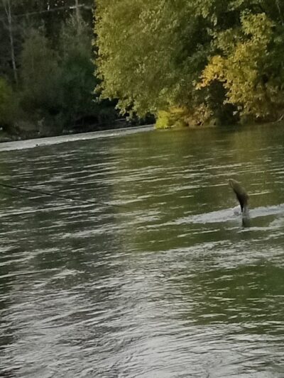 Nisqually River Public Access - Olympia, WA