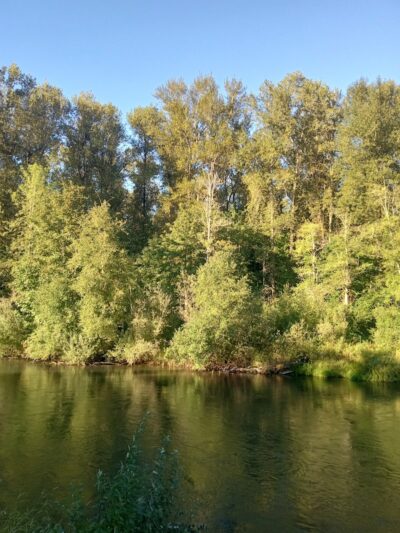 Nisqually River Public Access - Olympia, WA