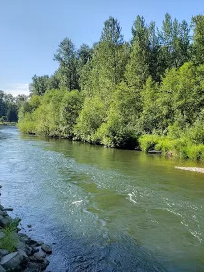 Nisqually River Public Access - Olympia, WA