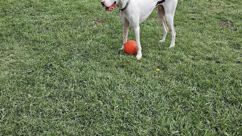 Olympia Dog Park