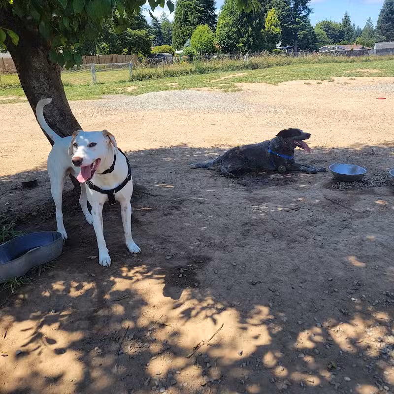 Olympia Dog Park