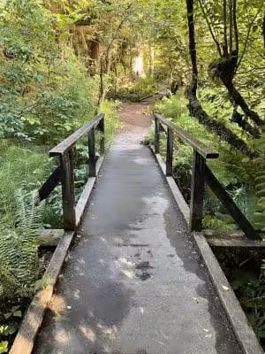Watershed Park
