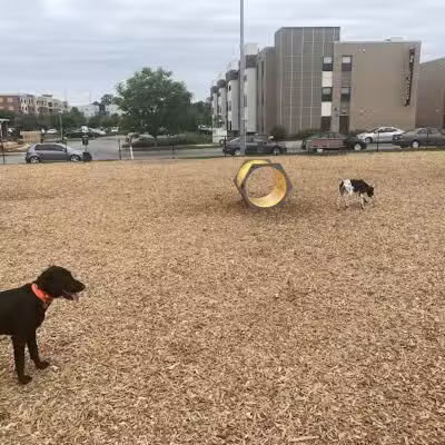 Aksarben Dog Park Omaha - Omaha, NE