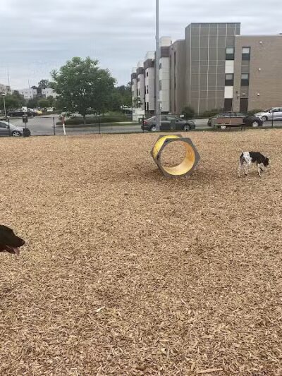 Aksarben Dog Park Omaha - Omaha, NE