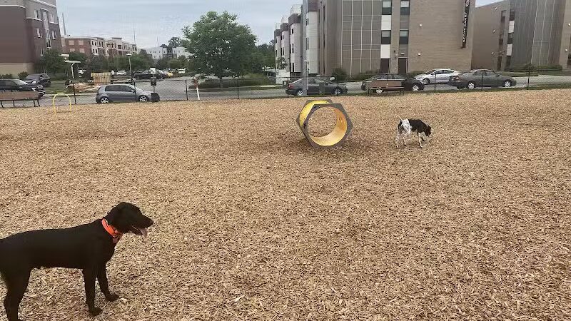 Aksarben Dog Park Omaha - Omaha, NE