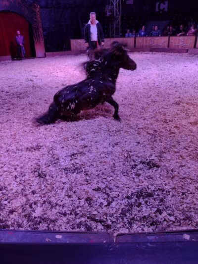 Aksarben Dog Park Omaha - Omaha, NE