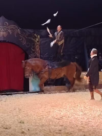 Aksarben Dog Park Omaha - Omaha, NE