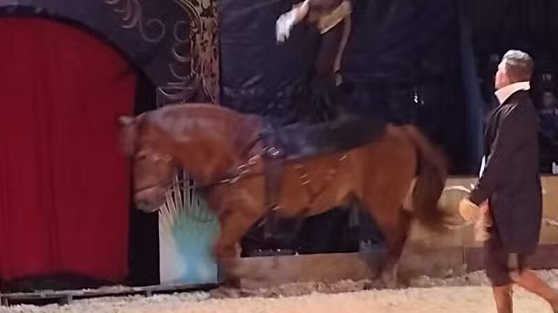 Aksarben Dog Park Omaha - Omaha, NE