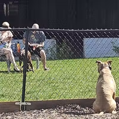 Aksarben Dog Park Omaha - Omaha, NE