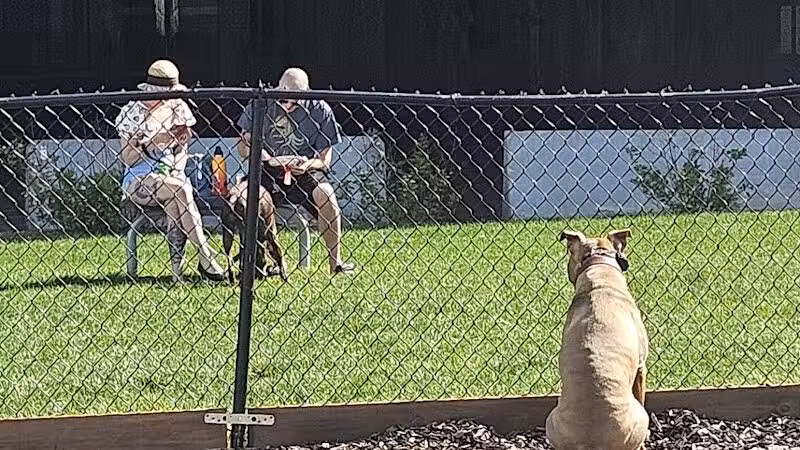 Aksarben Dog Park Omaha - Omaha, NE
