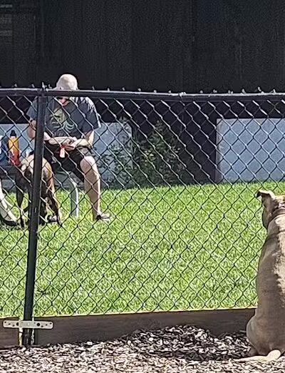 Aksarben Dog Park Omaha - Omaha, NE