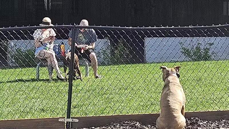 Aksarben Dog Park Omaha - Omaha, NE