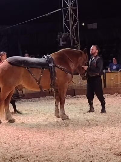 Aksarben Dog Park Omaha - Omaha, NE