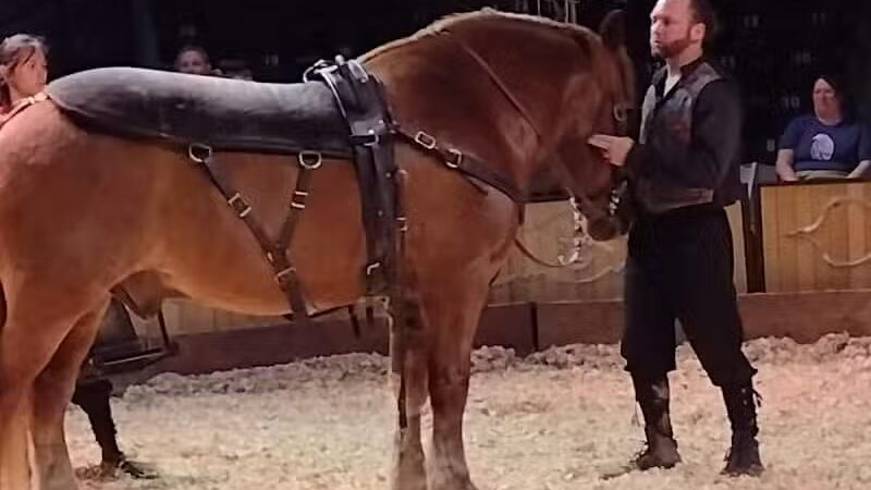 Aksarben Dog Park Omaha - Omaha, NE