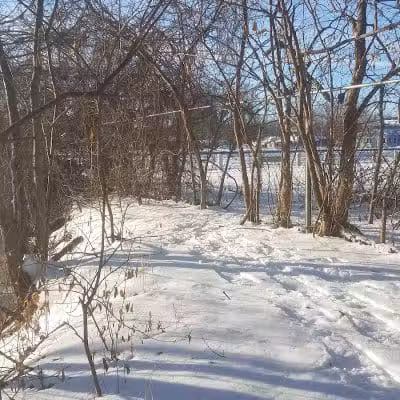 Fox and Hounds Park - Omro, WI