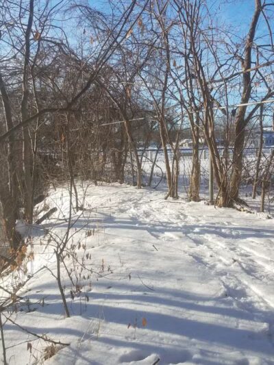 Fox and Hounds Park - Omro, WI