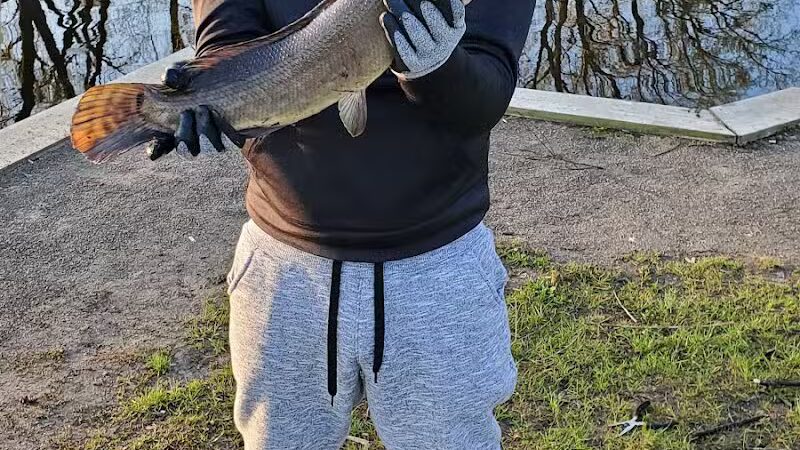 Miller Park On The Fox - Omro, WI