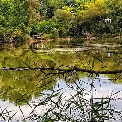 Schnyder/Wendt Park - Omro, WI