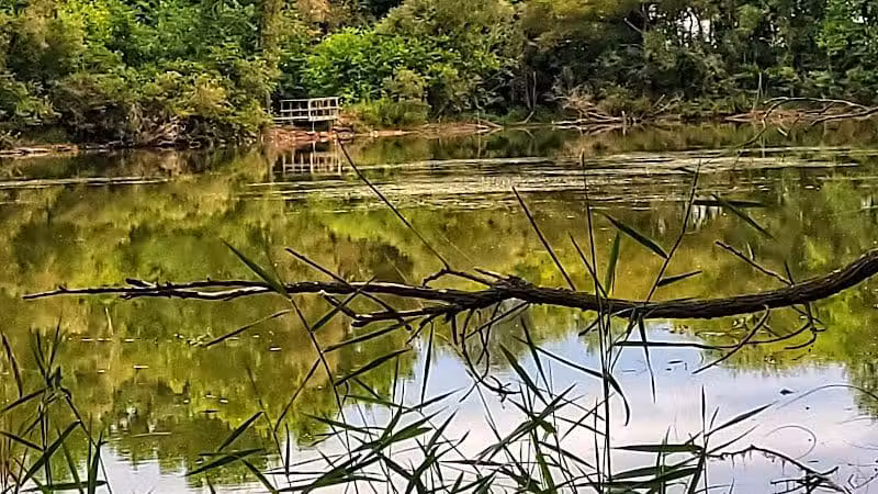 Schnyder/Wendt Park - Omro, WI