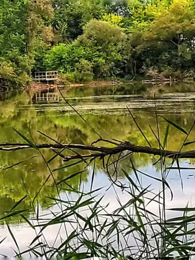 Schnyder/Wendt Park - Omro, WI