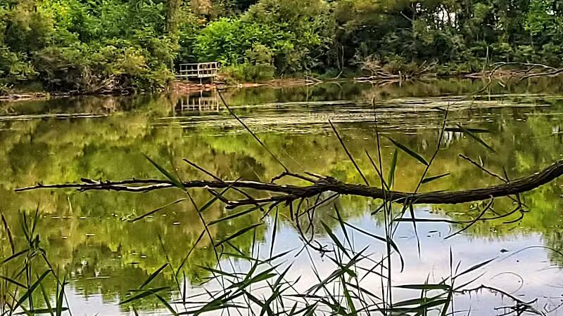 Schnyder/Wendt Park - Omro, WI