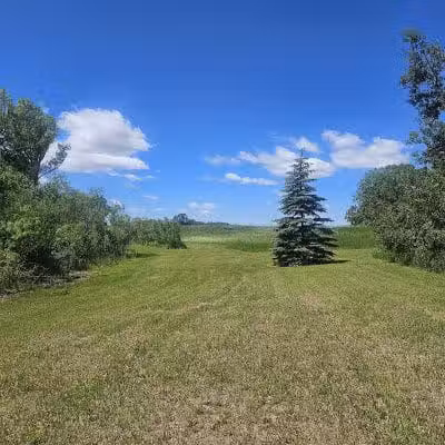 Schnyder/Wendt Park - Omro, WI