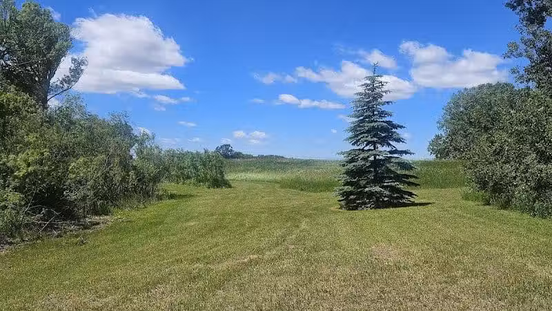 Schnyder/Wendt Park - Omro, WI