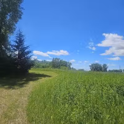 Schnyder/Wendt Park - Omro, WI