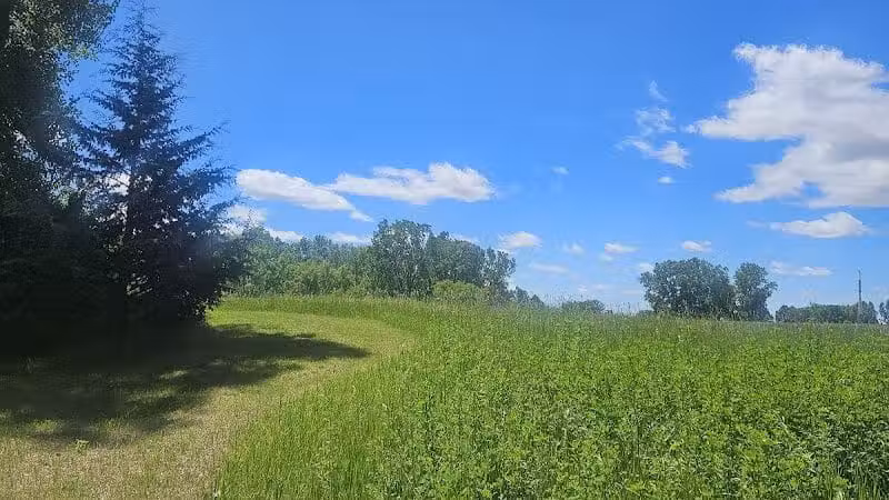 Schnyder/Wendt Park - Omro, WI