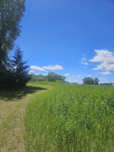 Schnyder/Wendt Park - Omro, WI