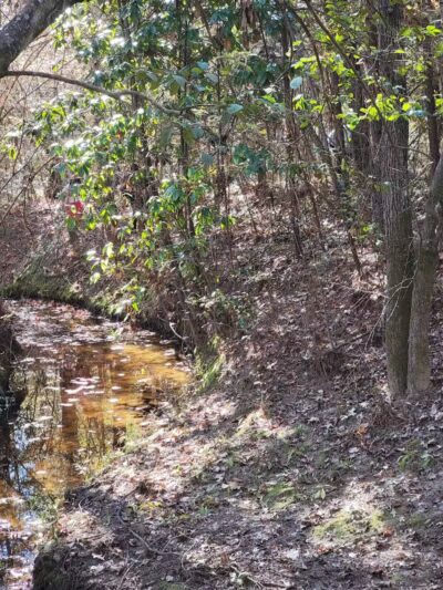 Mary Ellen Yost Memorial Dog Park - Onalaska, TX