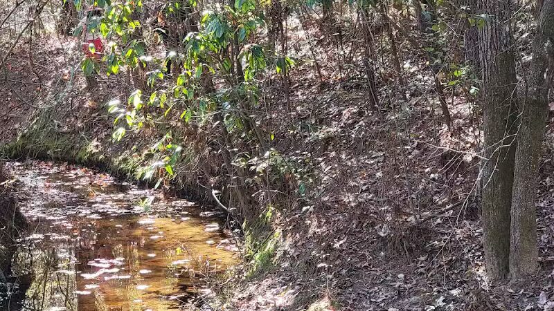 Mary Ellen Yost Memorial Dog Park - Onalaska, TX