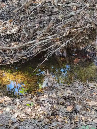 Mary Ellen Yost Memorial Dog Park - Onalaska, TX