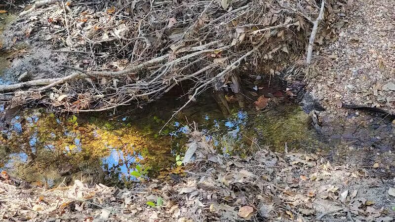 Mary Ellen Yost Memorial Dog Park - Onalaska, TX