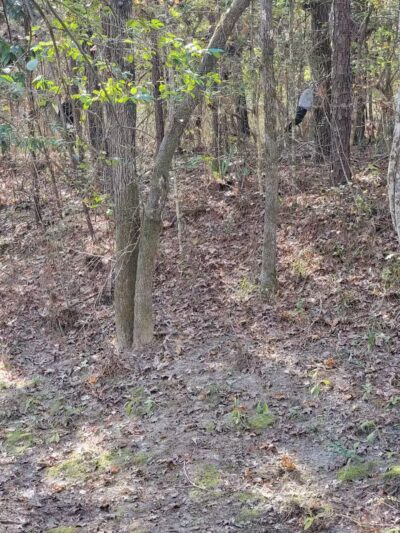 Mary Ellen Yost Memorial Dog Park - Onalaska, TX