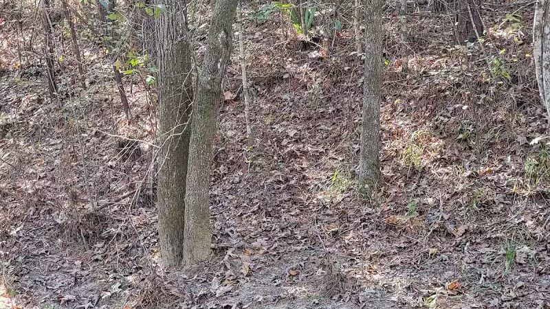 Mary Ellen Yost Memorial Dog Park - Onalaska, TX