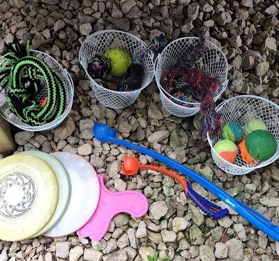 Milo's Private Dog Park - Onalaska, WI