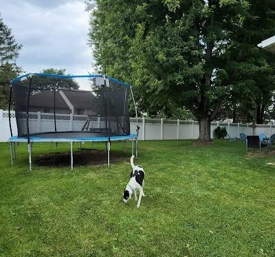 Milo's Private Dog Park - Onalaska, WI