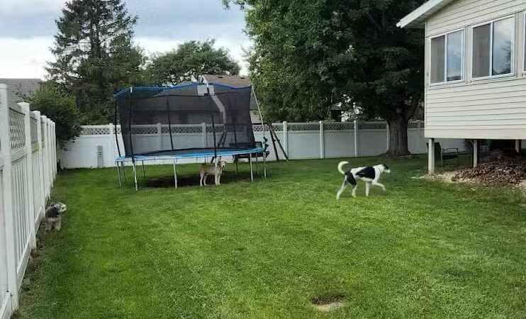 Milo's Private Dog Park - Onalaska, WI