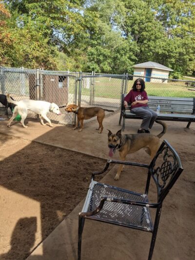 Van Riper Dog Park - Onalaska, WI