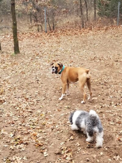 Van Riper Dog Park - Onalaska, WI