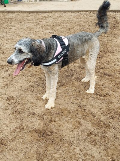 Van Riper Dog Park - Onalaska, WI