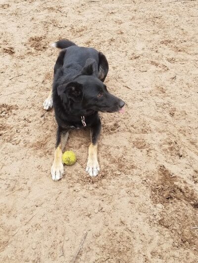 Van Riper Dog Park - Onalaska, WI