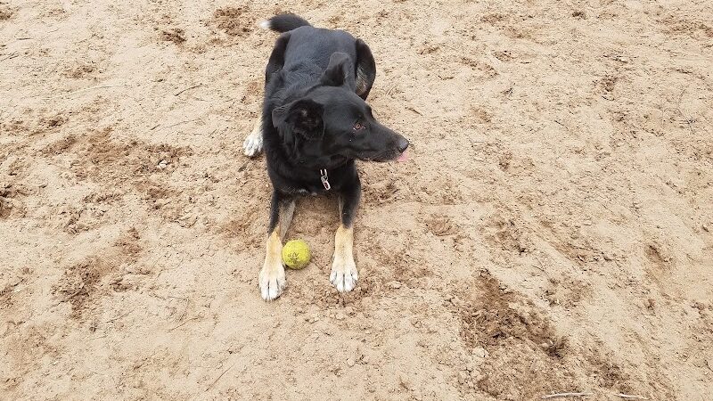 Van Riper Dog Park - Onalaska, WI