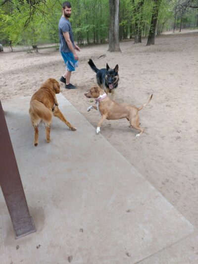 Van Riper Dog Park - Onalaska, WI