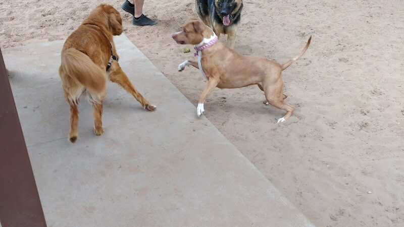 Van Riper Dog Park - Onalaska, WI