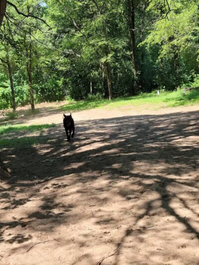 Van Riper Dog Park - Onalaska, WI
